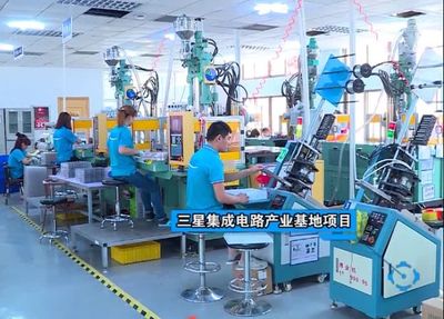 市领导调研文登，走访家电企业共话发展